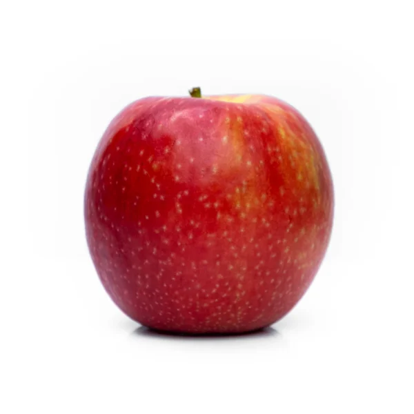 Gala Apple Snack Pack 6-Count — Fresh Produce at Peasley Store